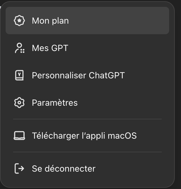 Paramètres puis instructions personnalisées sur chatgpt